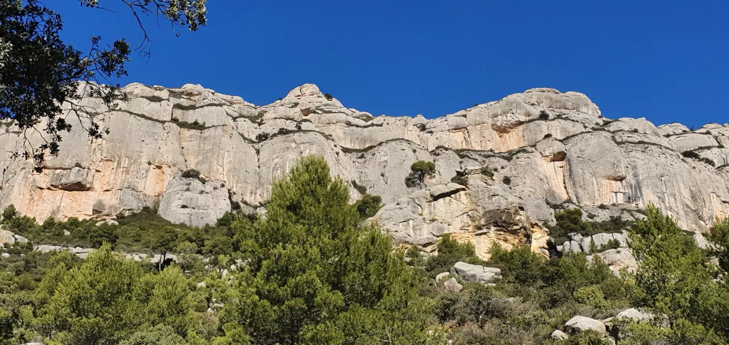Torroja del Priorat
