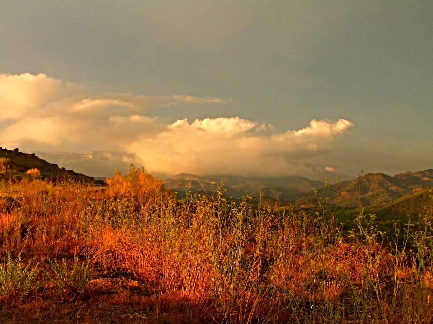 Casa Rural Priorat 